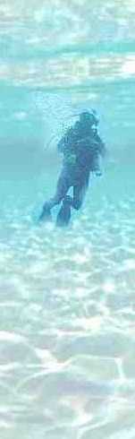 diver